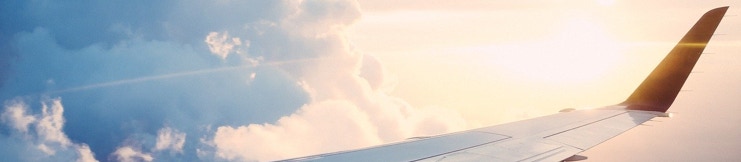 Aircraft wing in flight